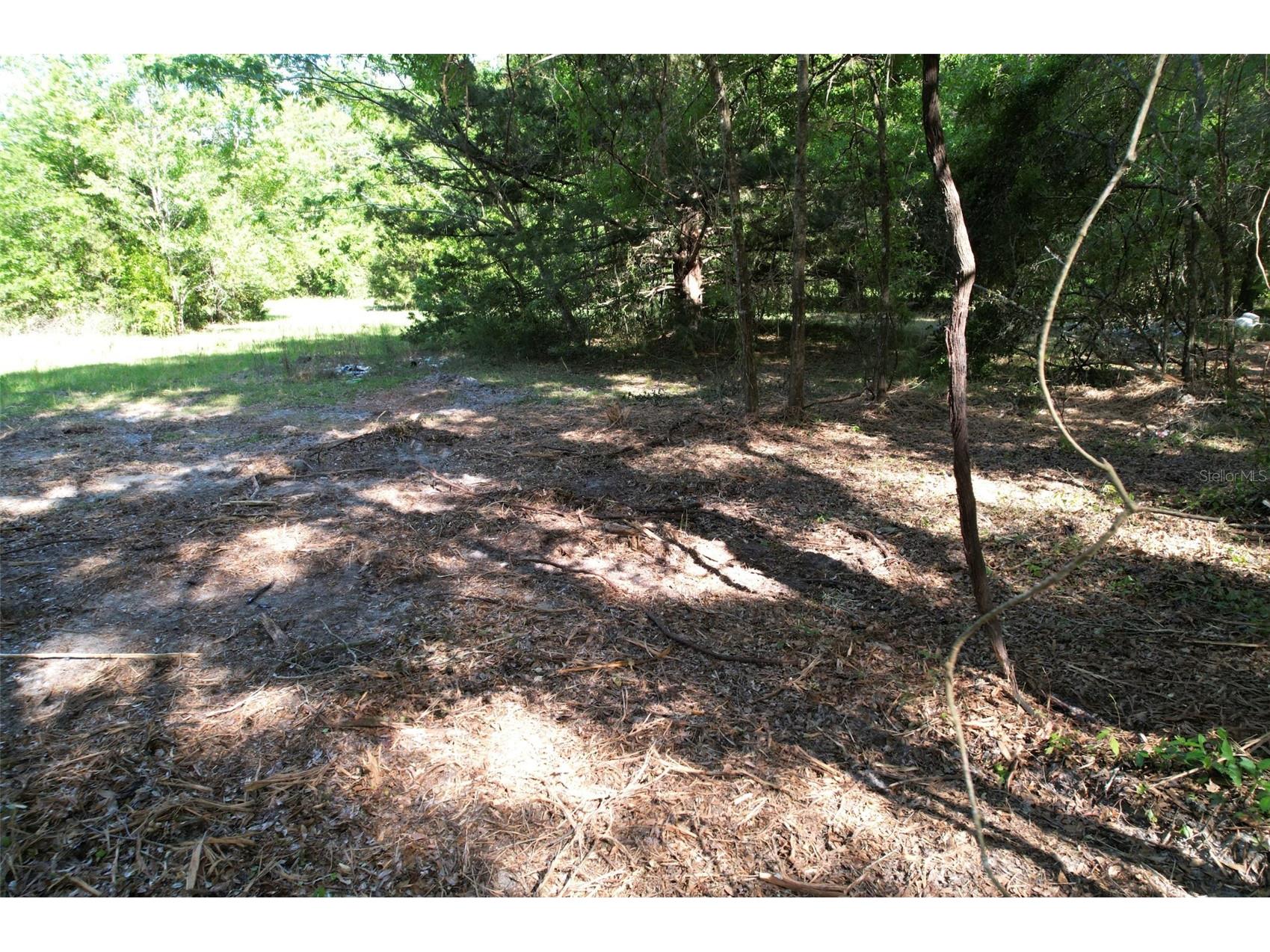 SE 164th Terrace Williston FL 32696 O6408003 image12