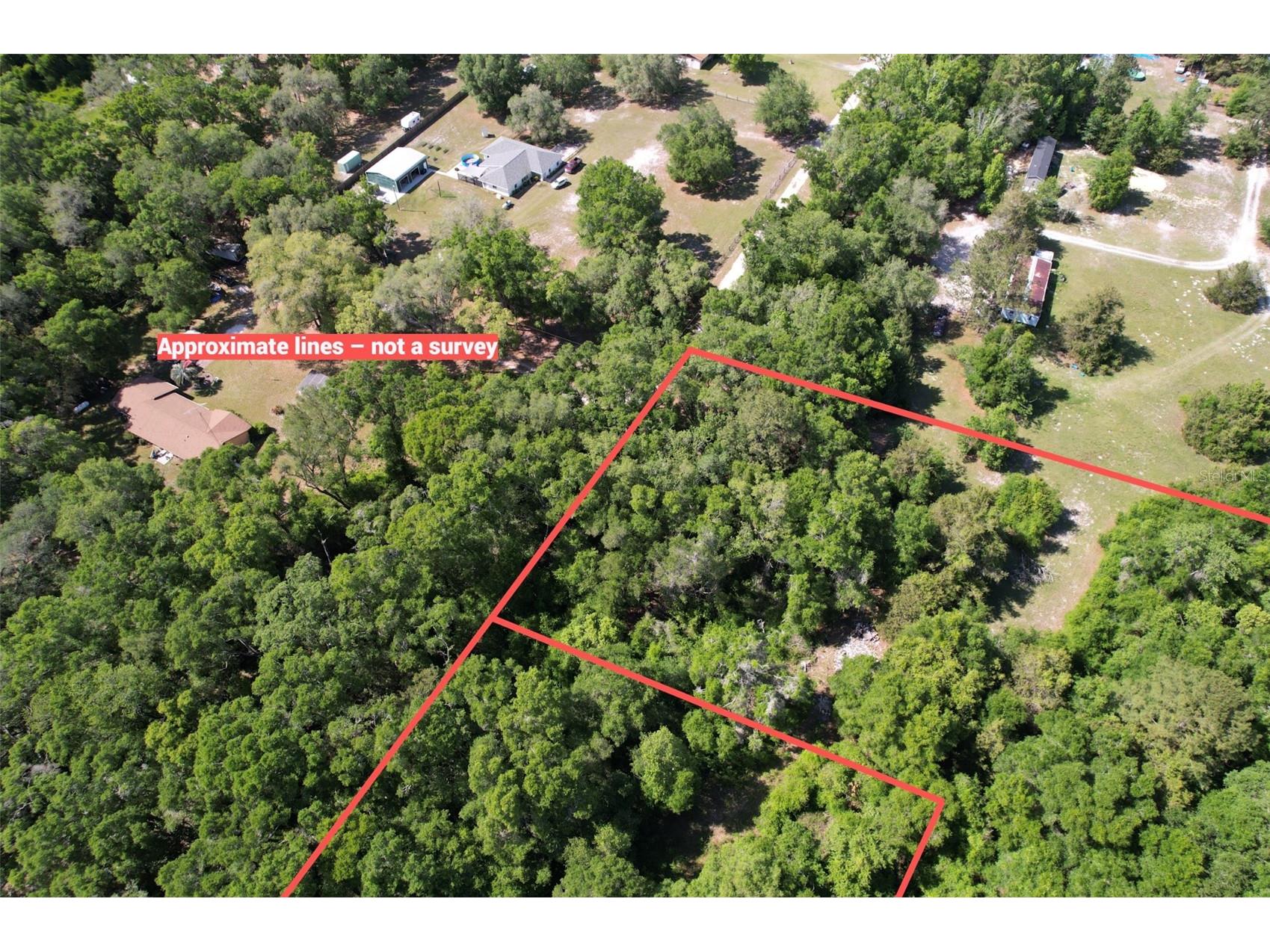SE 164th Terrace Williston FL 32696 O6408003 image3