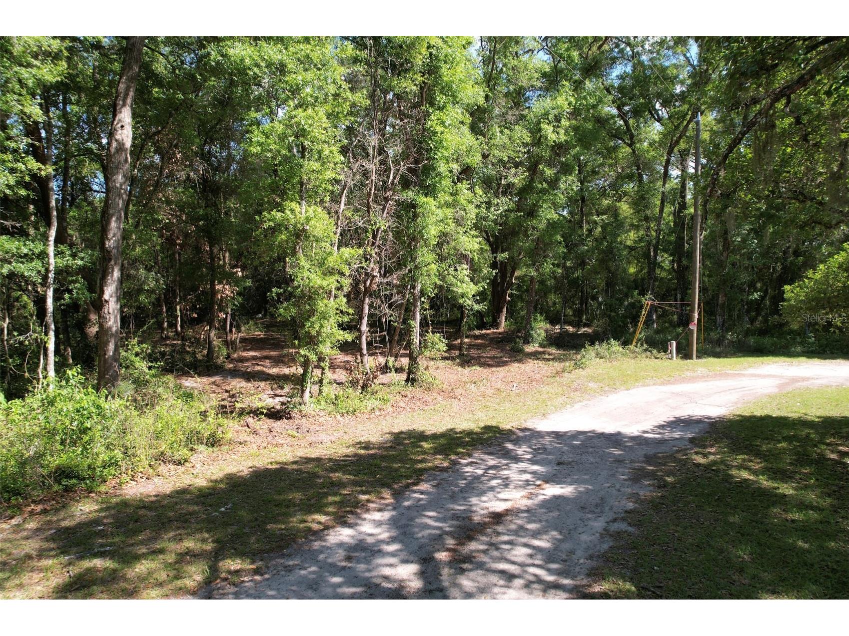 SE 164th Terrace Williston FL 32696 O6408003 image4