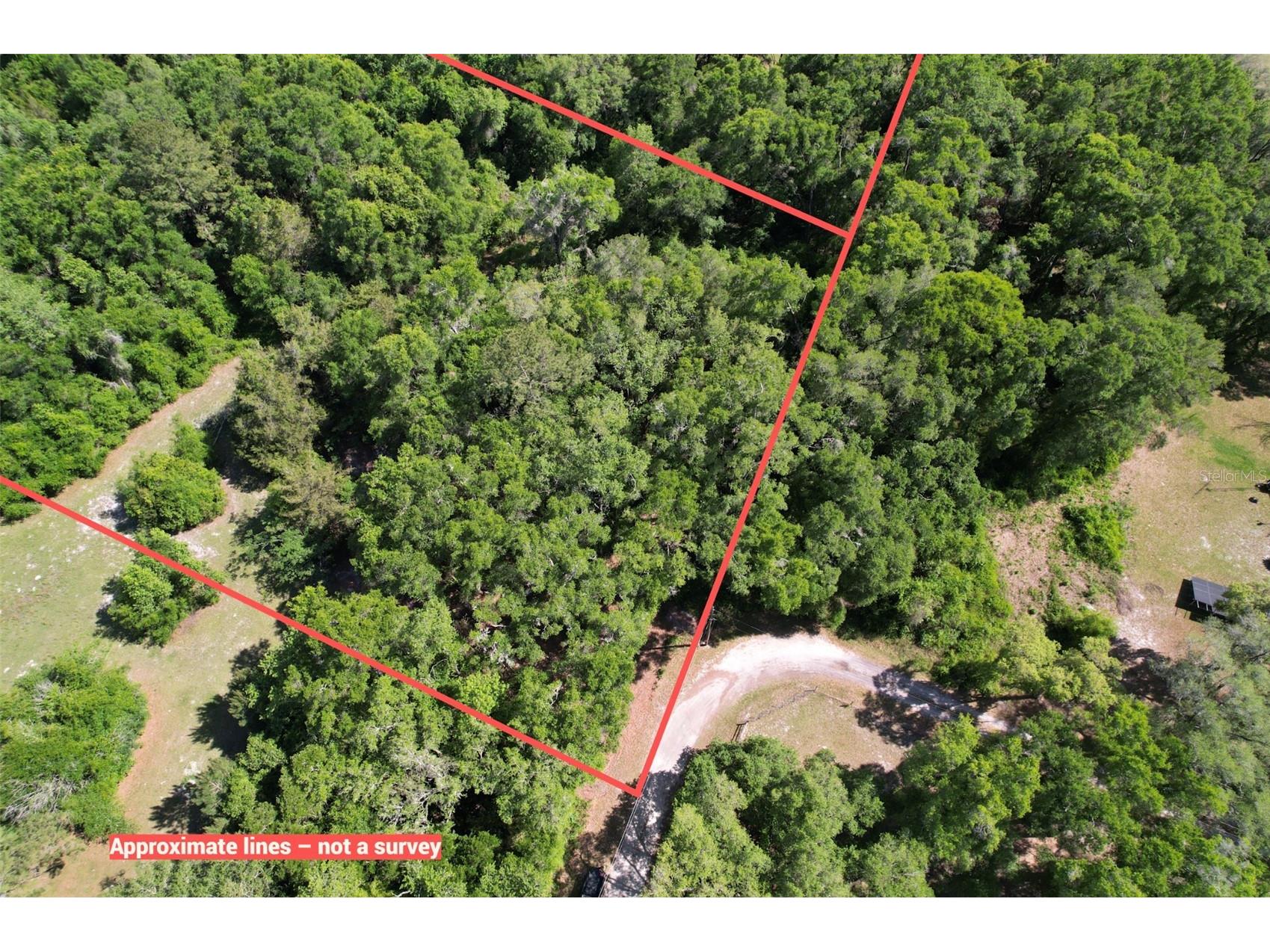 SE 164th Terrace Williston FL 32696 O6408003 image5