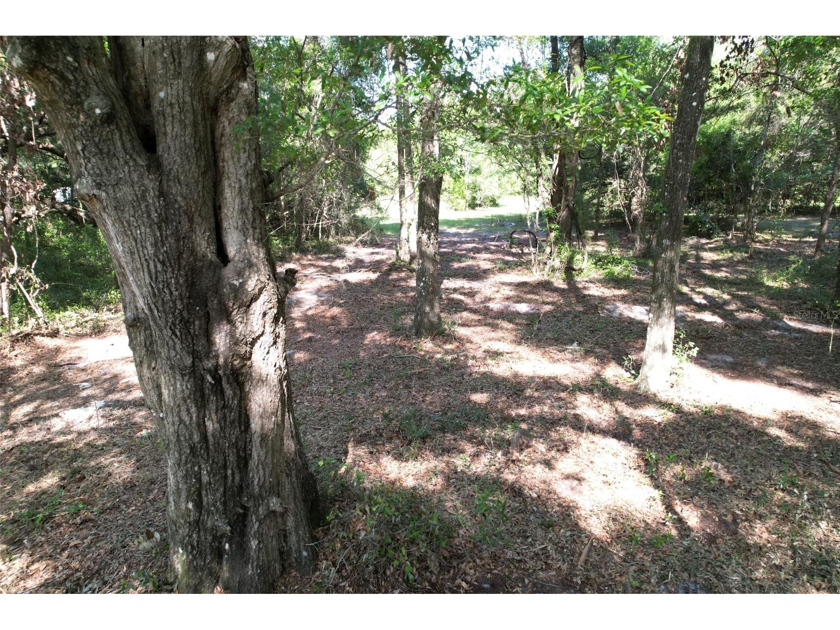 SE 164th Terrace Williston FL 32696 O6408003 image8