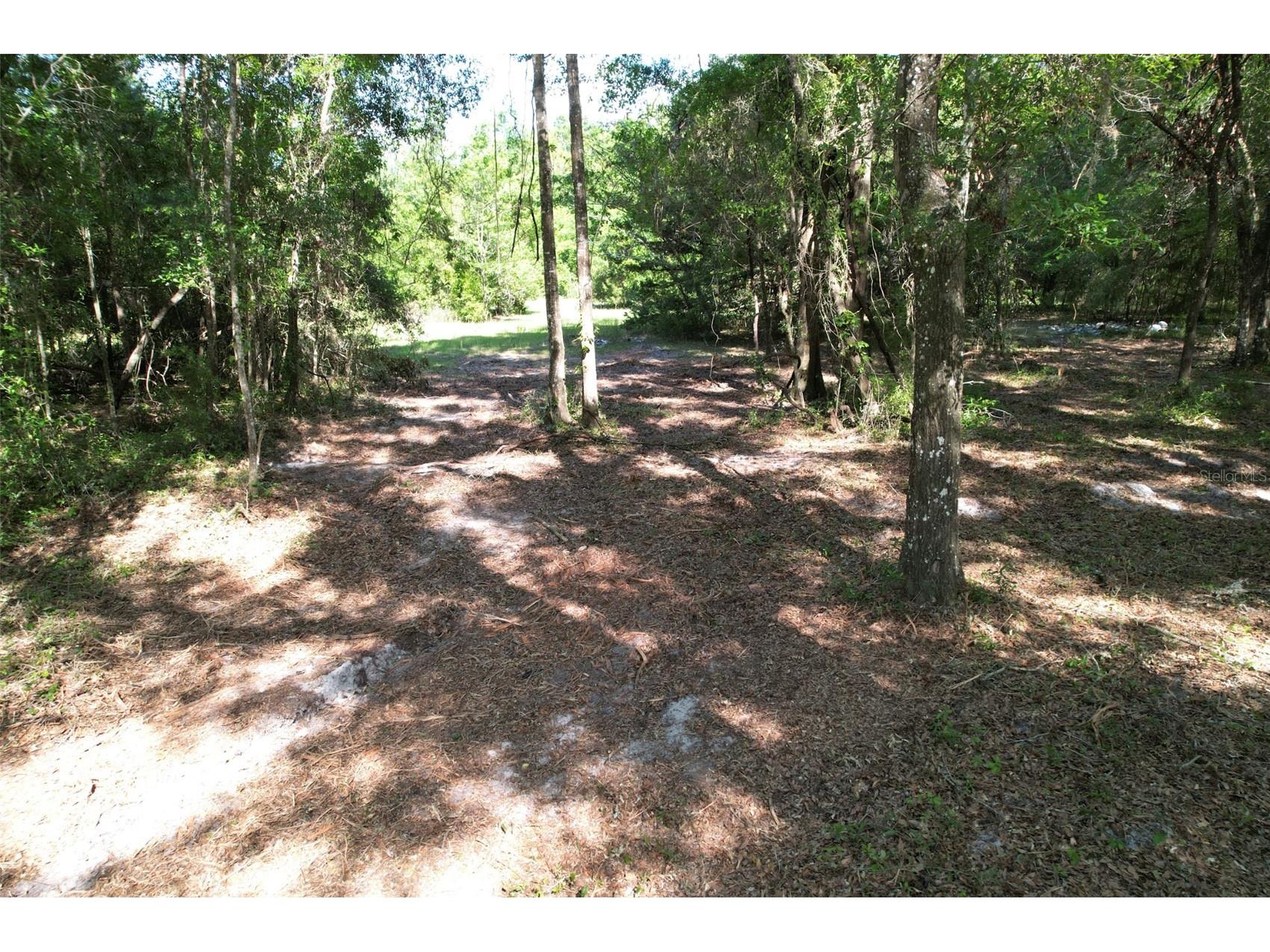 SE 164th Terrace Williston FL 32696 O6408003 image9