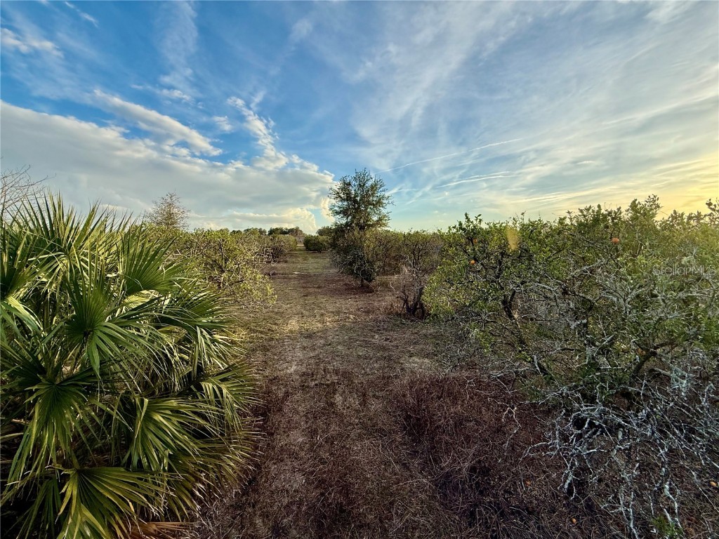 SE 165th Avenue Weirsdale FL 32195 - SADDLEBAG LAKE G5091815 image2