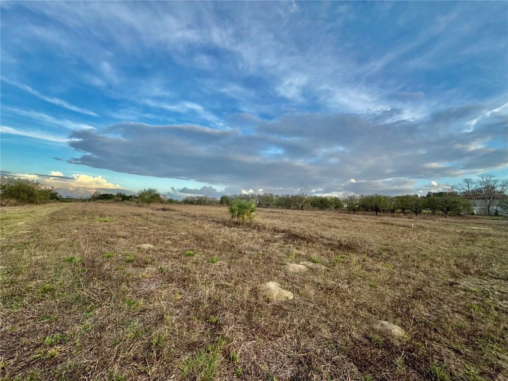 Se 165th Avenue Weirsdale FL 32195 G5093029 image4
