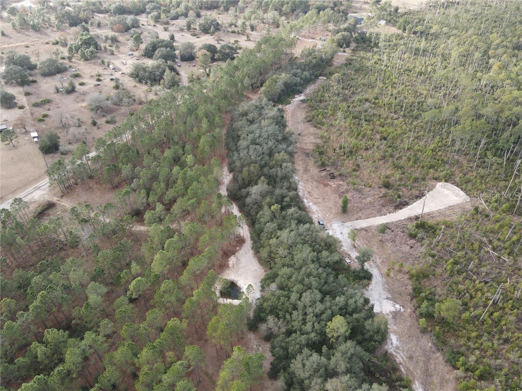 SE 165th Terrace Road Ocklawaha FL 32179 O6125488 image1