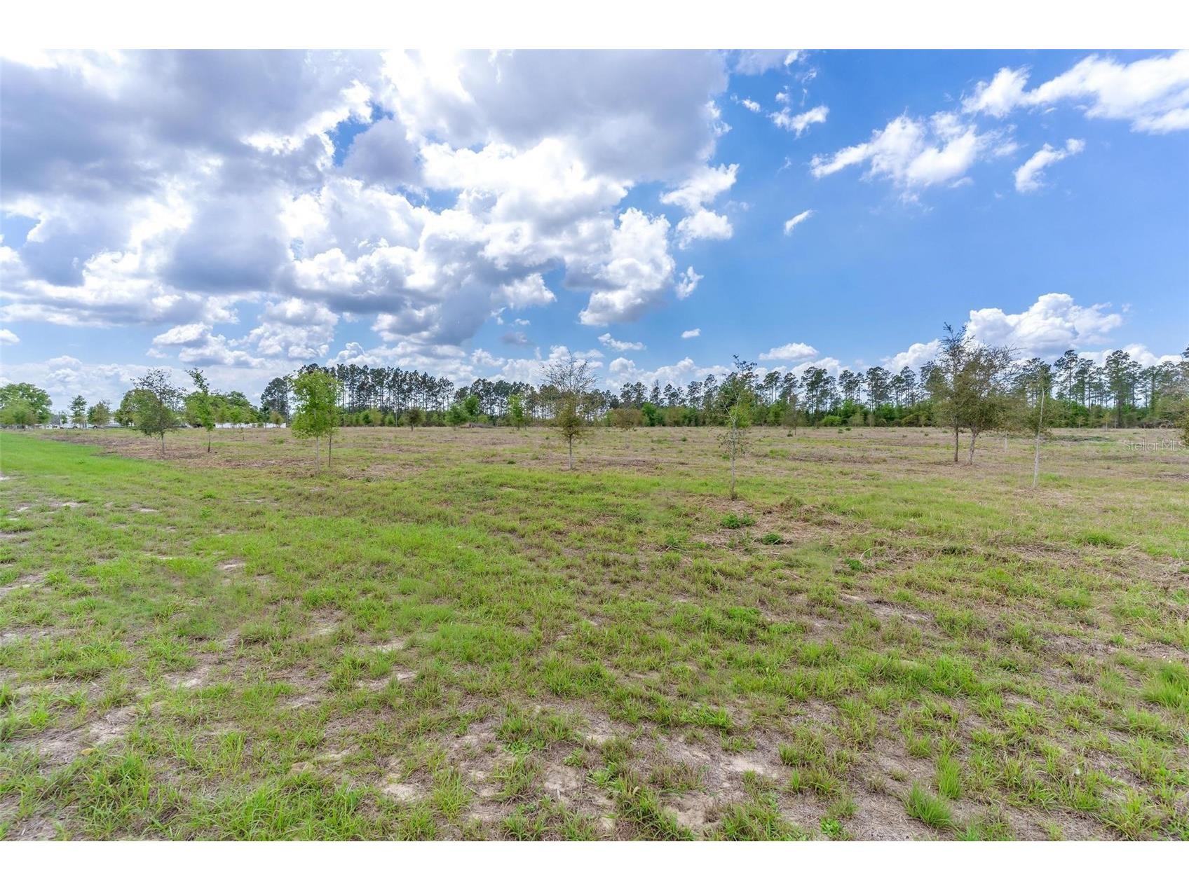 SE 170th Avenue Weirsdale FL 32195 G5110297 image1