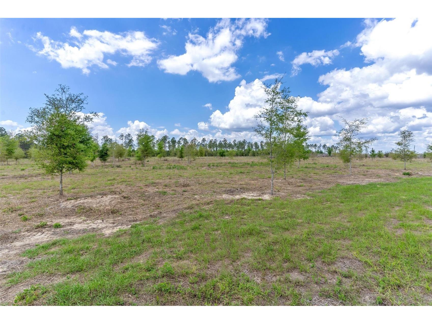 SE 170th Avenue Weirsdale FL 32195 G5110297 image2