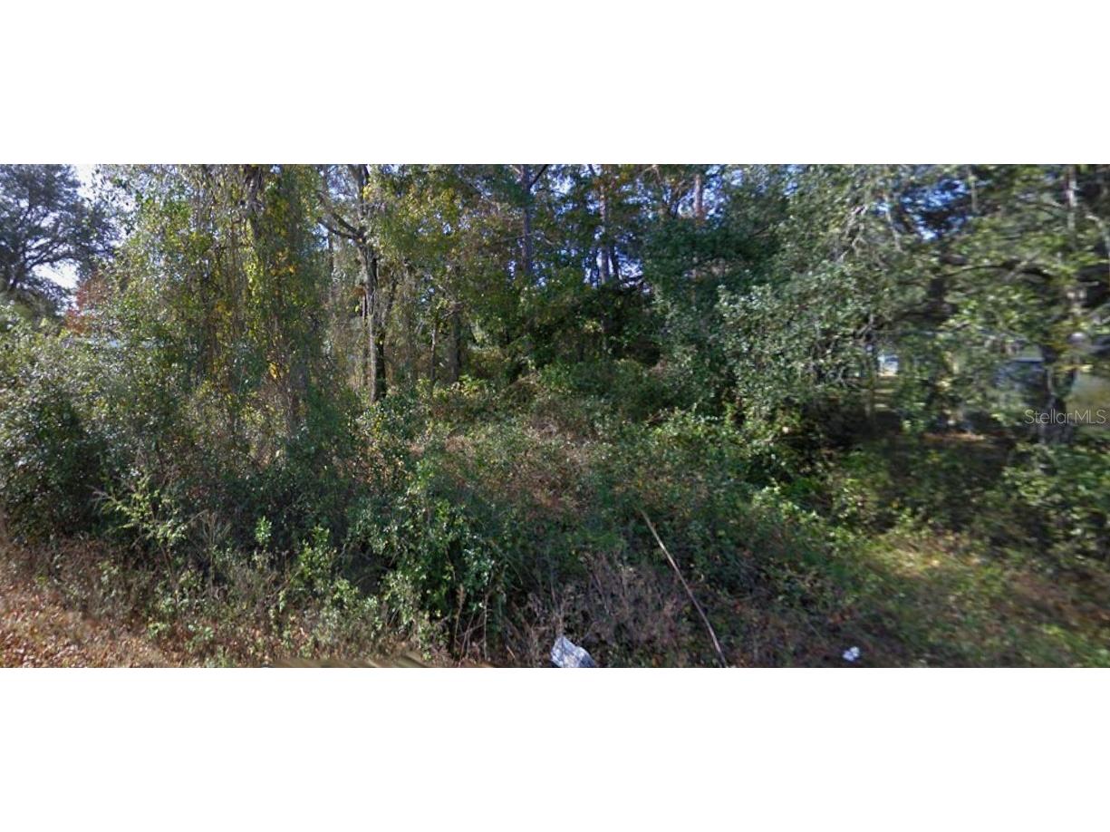 SE 173rd Court Silver Springs FL 34488 O6361380 image1