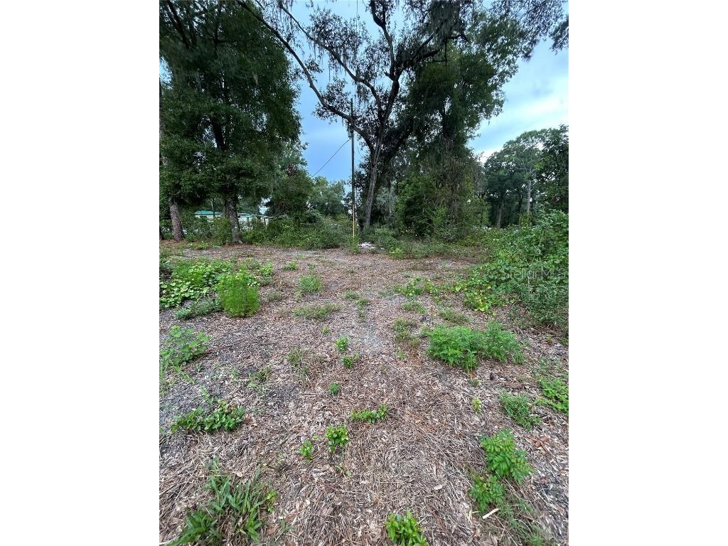 Se 173rd Street Summerfield FL 34491 G5101433 image10