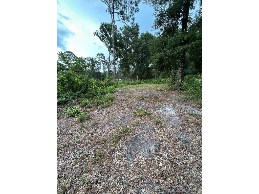 Se 173rd Street Summerfield FL 34491 G5101433 image11