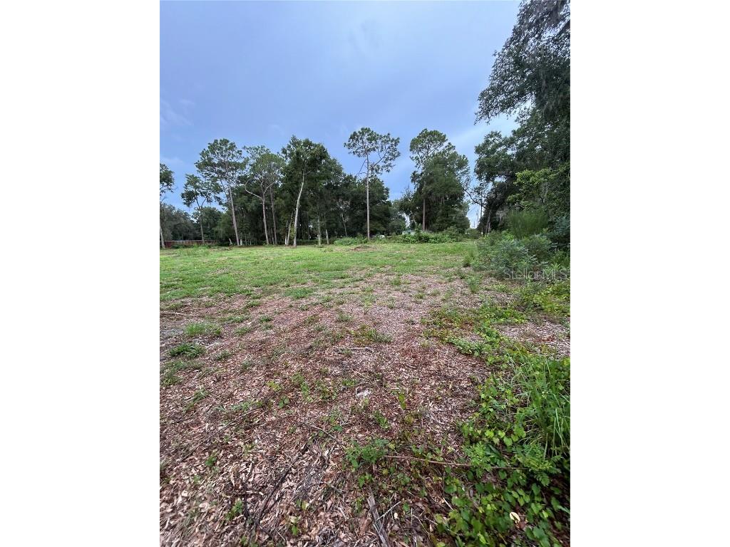 Se 173rd Street Summerfield FL 34491 G5101433 image5