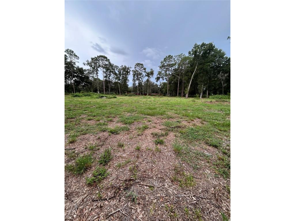 Se 173rd Street Summerfield FL 34491 G5101433 image6