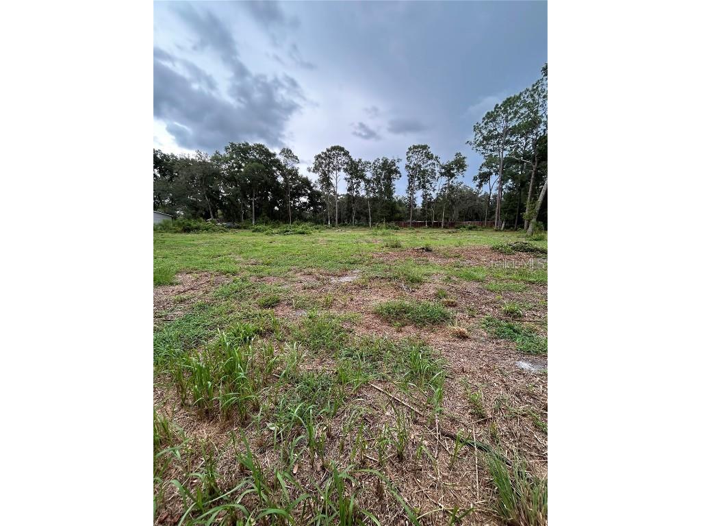 Se 173rd Street Summerfield FL 34491 G5101433 image7