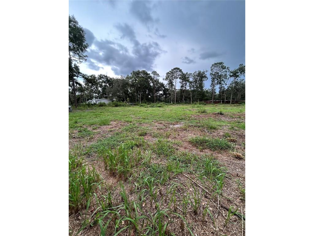 Se 173rd Street Summerfield FL 34491 G5101433 image8