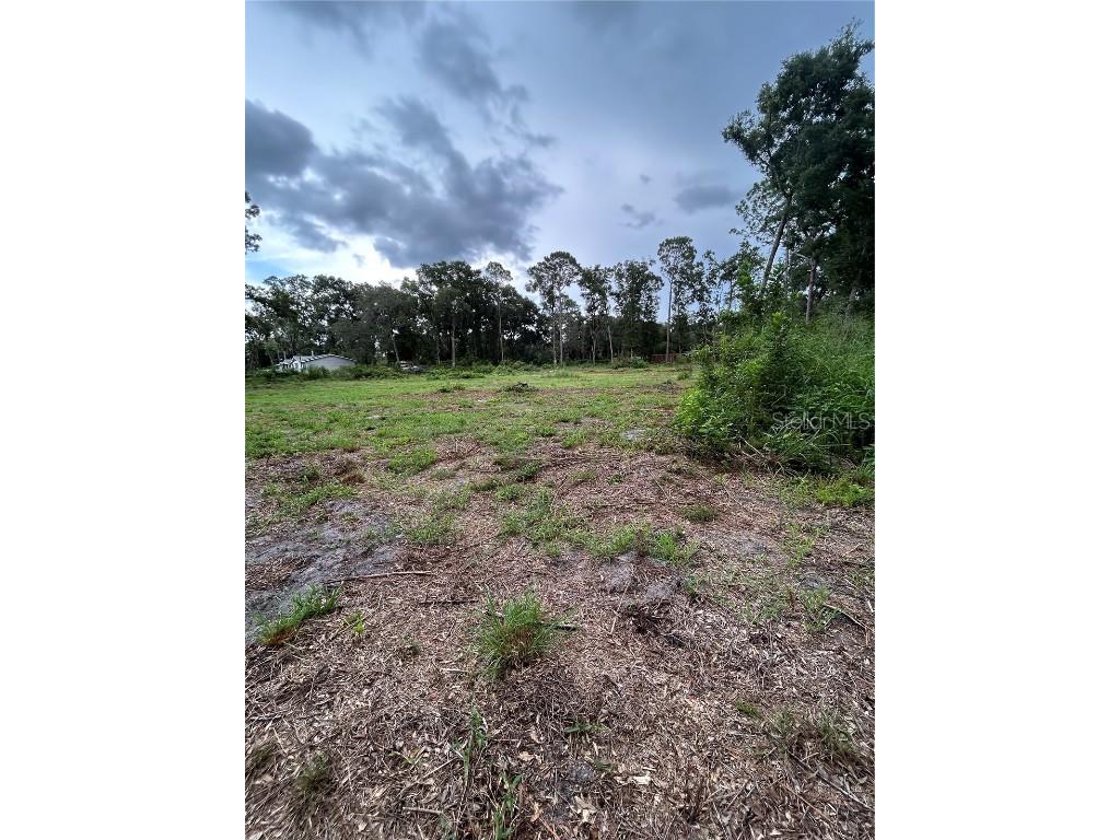 Se 173rd Street Summerfield FL 34491 G5101433 image9