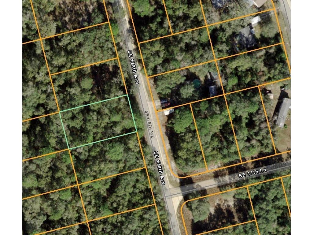 SE 175 Avenue Silver Springs FL 34488 O6361978 image1