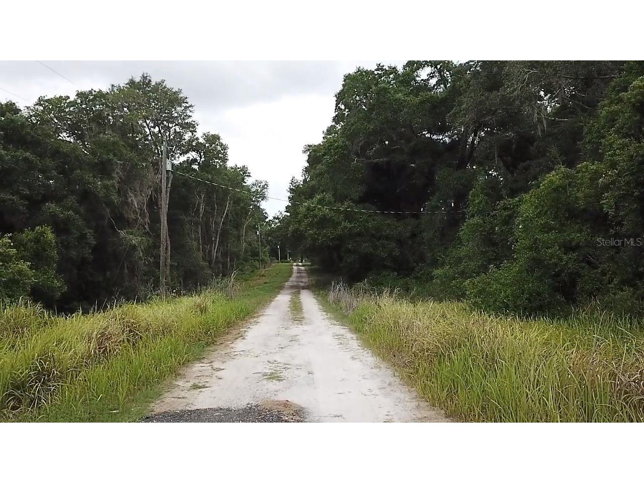 Se 175th Place Umatilla FL 32784 G5112724 image4