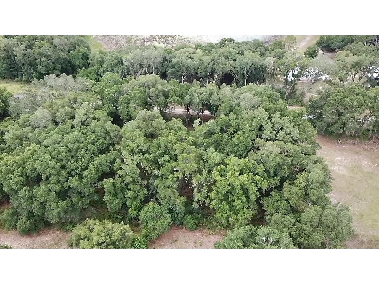 Se 175th Place Umatilla FL 32784 G5112724 image6