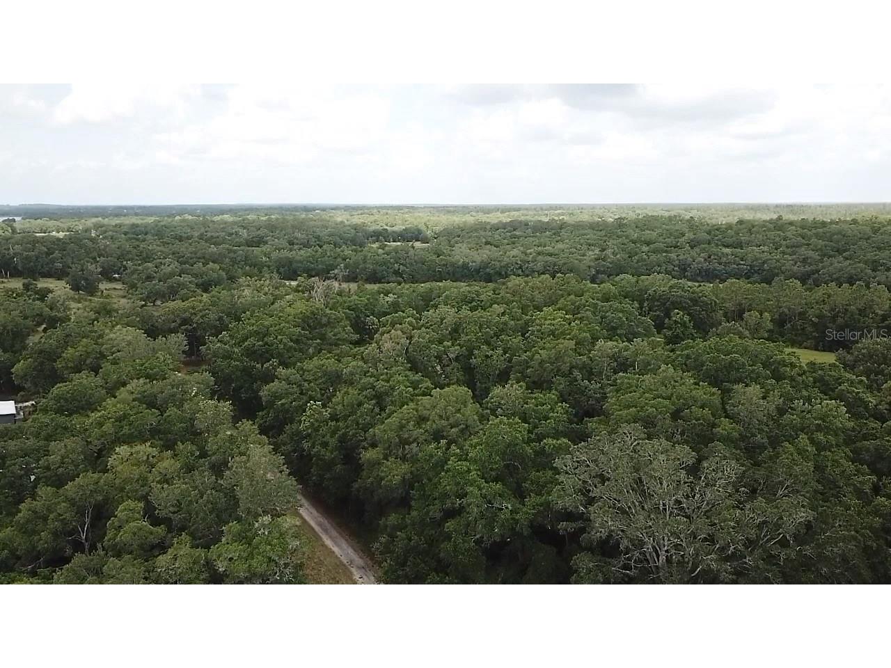 Se 175th Place Umatilla FL 32784 G5112724 image8