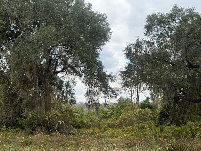 SE 175th Terrace Silver Springs FL 34488 - NORTH LAKE BRYANT OM716227 image2