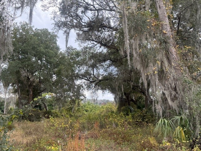 SE 175th Terrace Silver Springs FL 34488 - NORTH LAKE BRYANT OM716227 image3