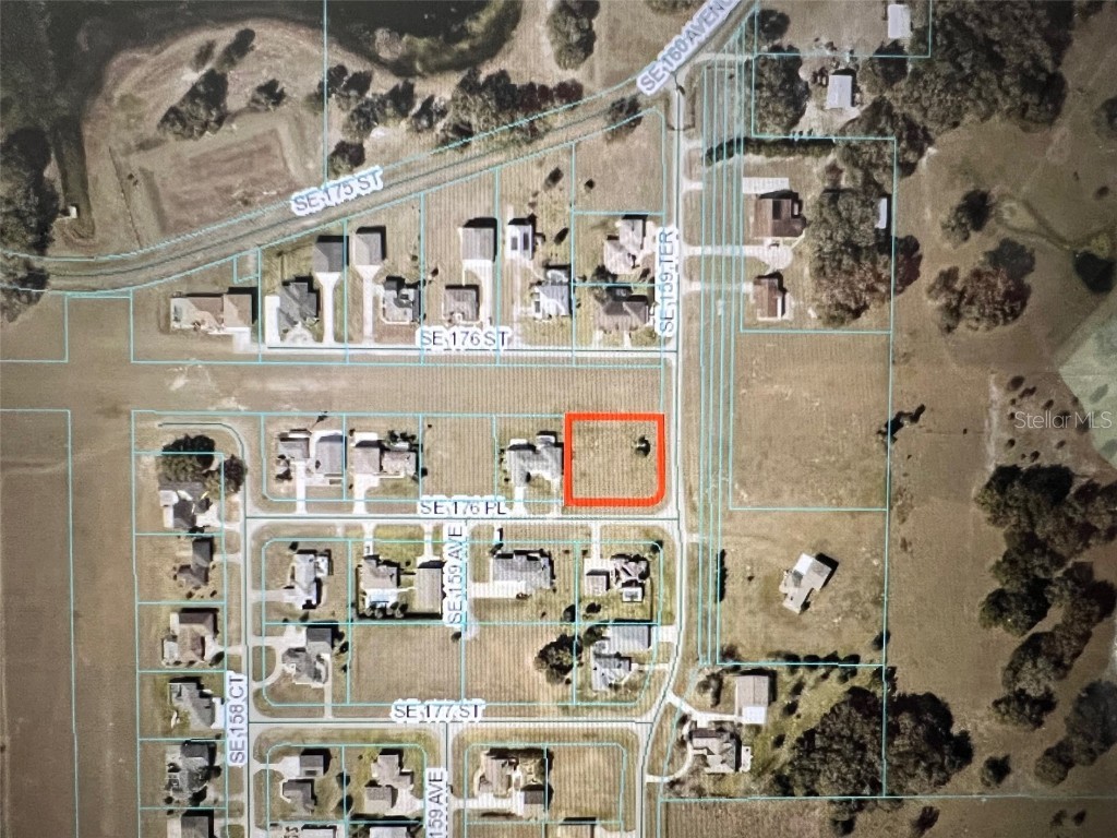 SE 176 Place Weirsdale FL 32195 OM679726 image1