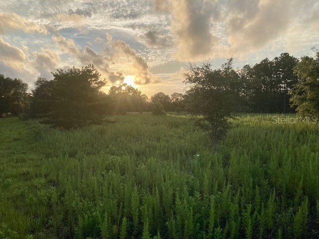 SE 178 Court Morriston FL 32668 OM661021 image1