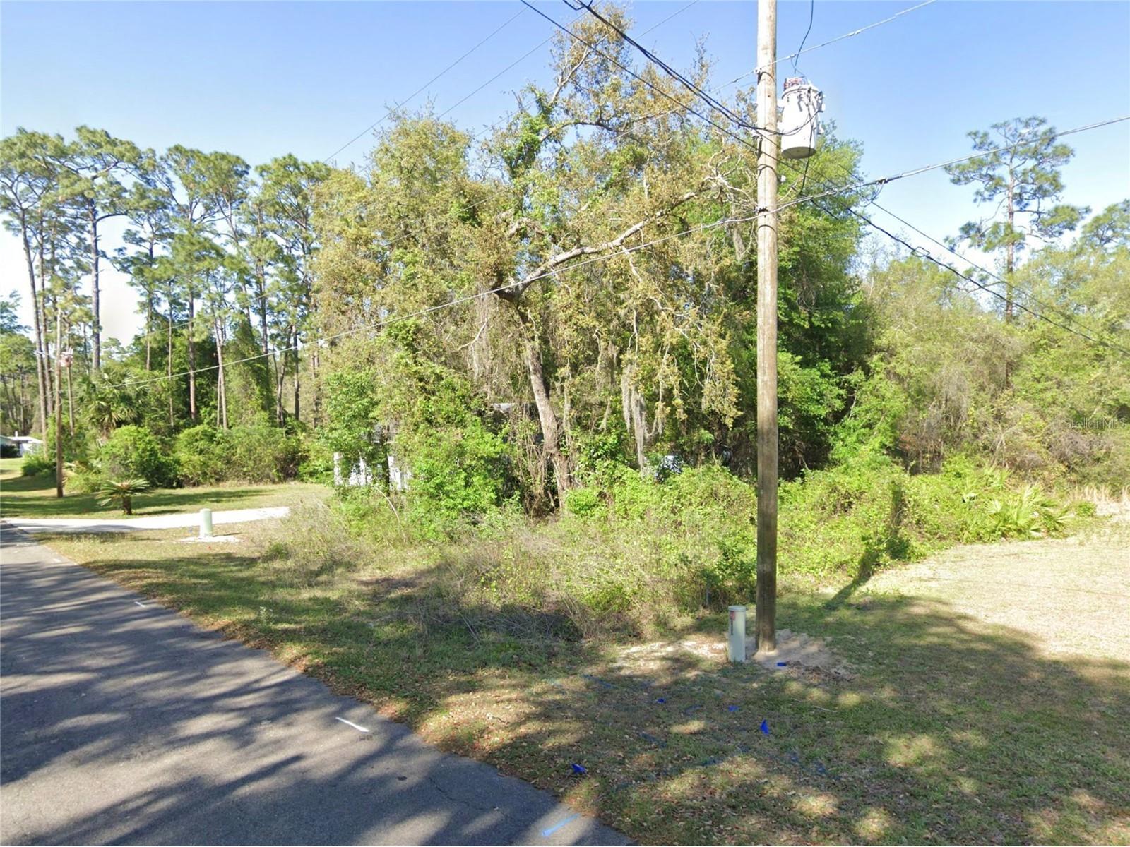 SE 178th Avenue Silver Springs FL 34488 OM722243 image3