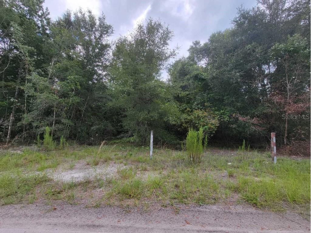 SE 179th Place Summerfield FL 34491 O6127239 image1
