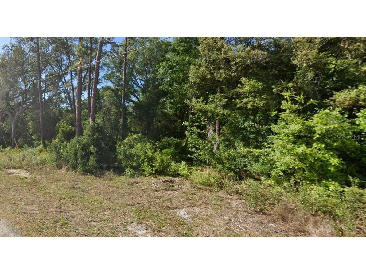 SE 17th Lane Ocklawaha FL 32179 O6363352 image1