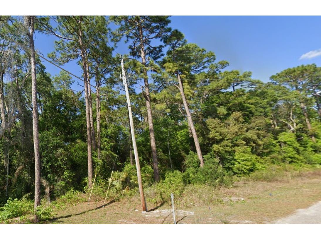 SE 17th Lane Ocklawaha FL 32179 O6363352 image2