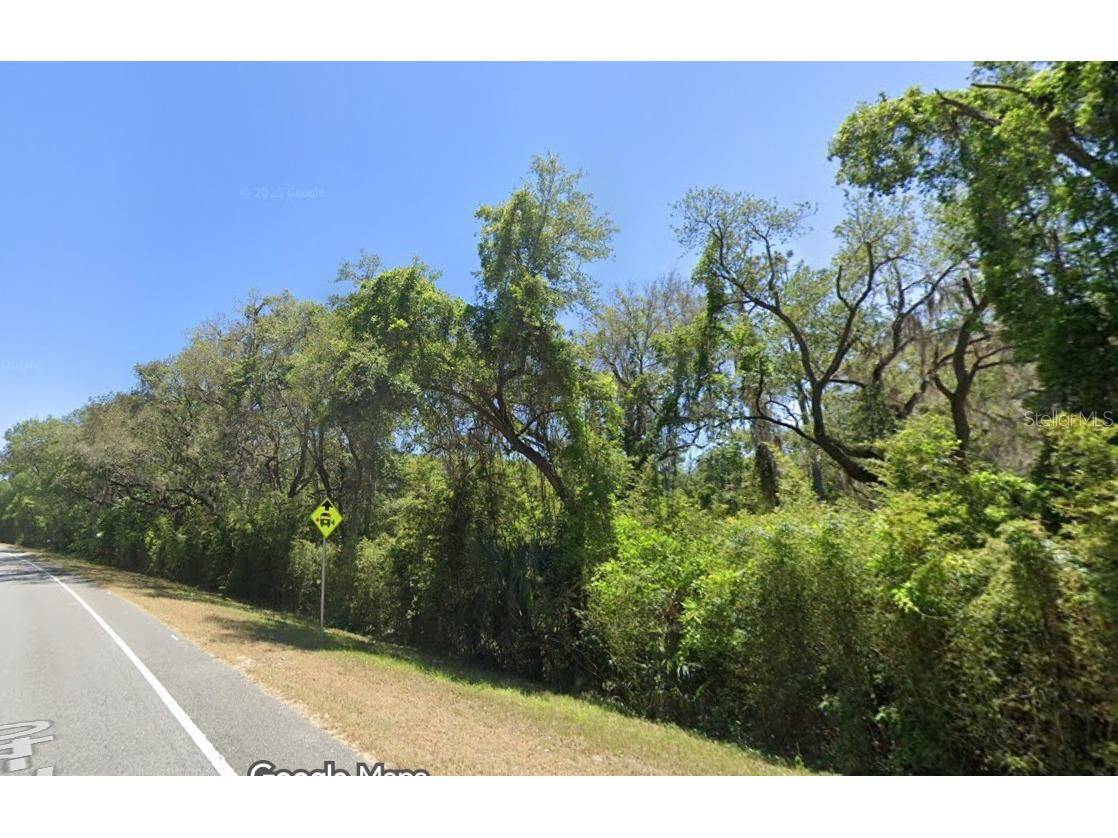 SE 17th Lane Ocklawaha FL 32179 O6363352 image3