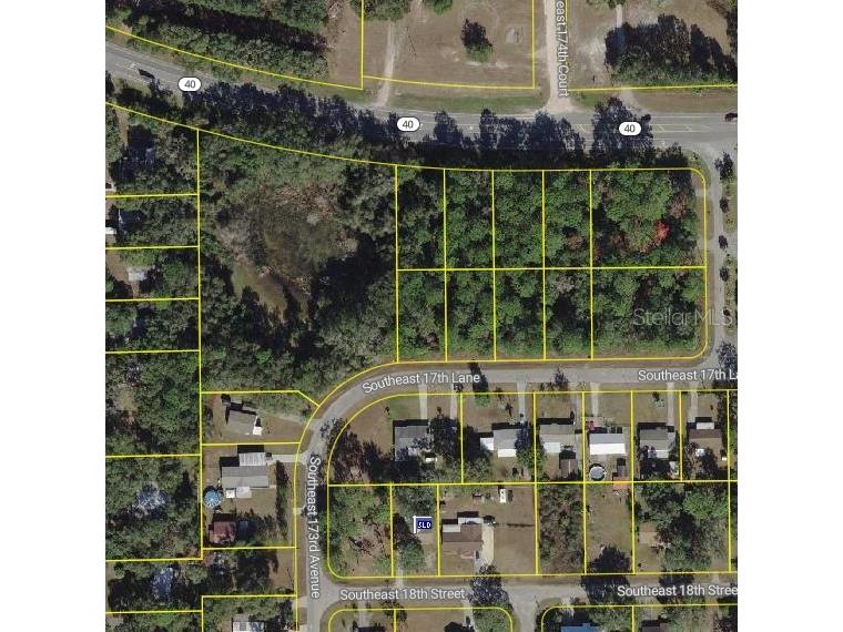 SE 17th Lane Ocklawaha FL 32179 O6363352 image8