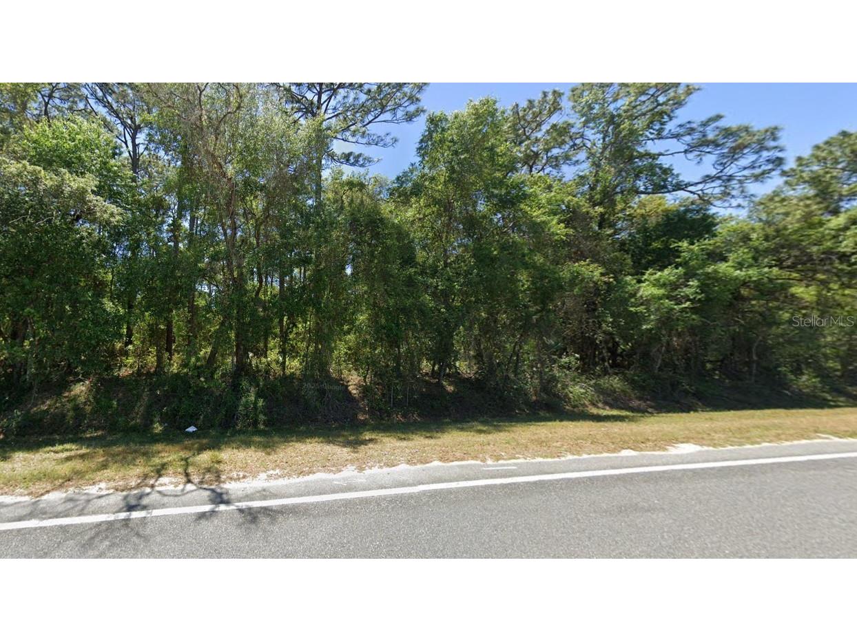SE 17th Lane Ocklawaha FL 32179 O6363358 image1