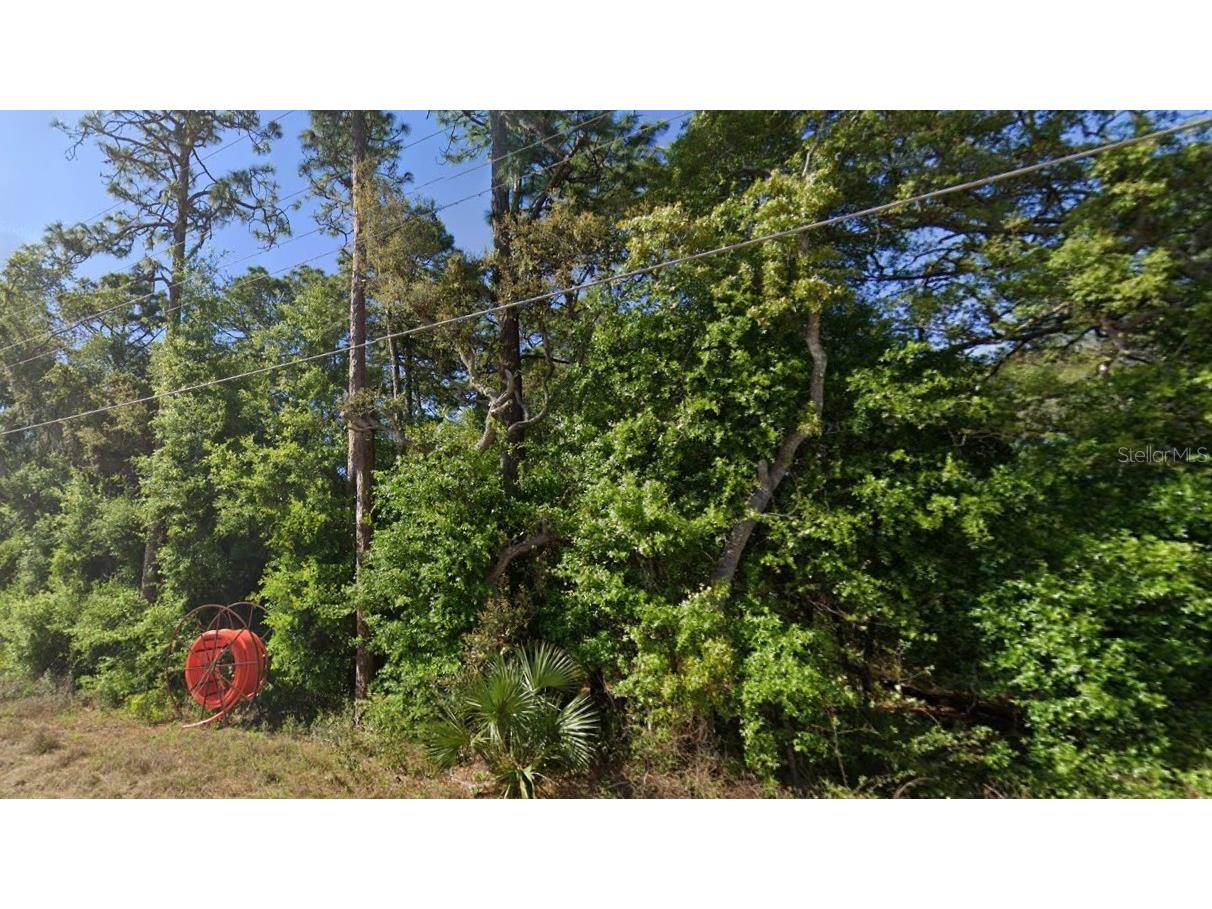 SE 17th Lane Ocklawaha FL 32179 O6363358 image3