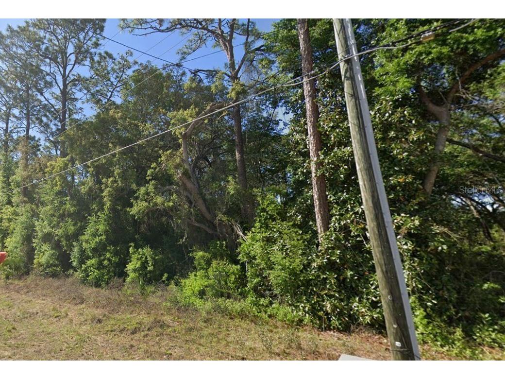 SE 17th Lane Ocklawaha FL 32179 O6363365 image1