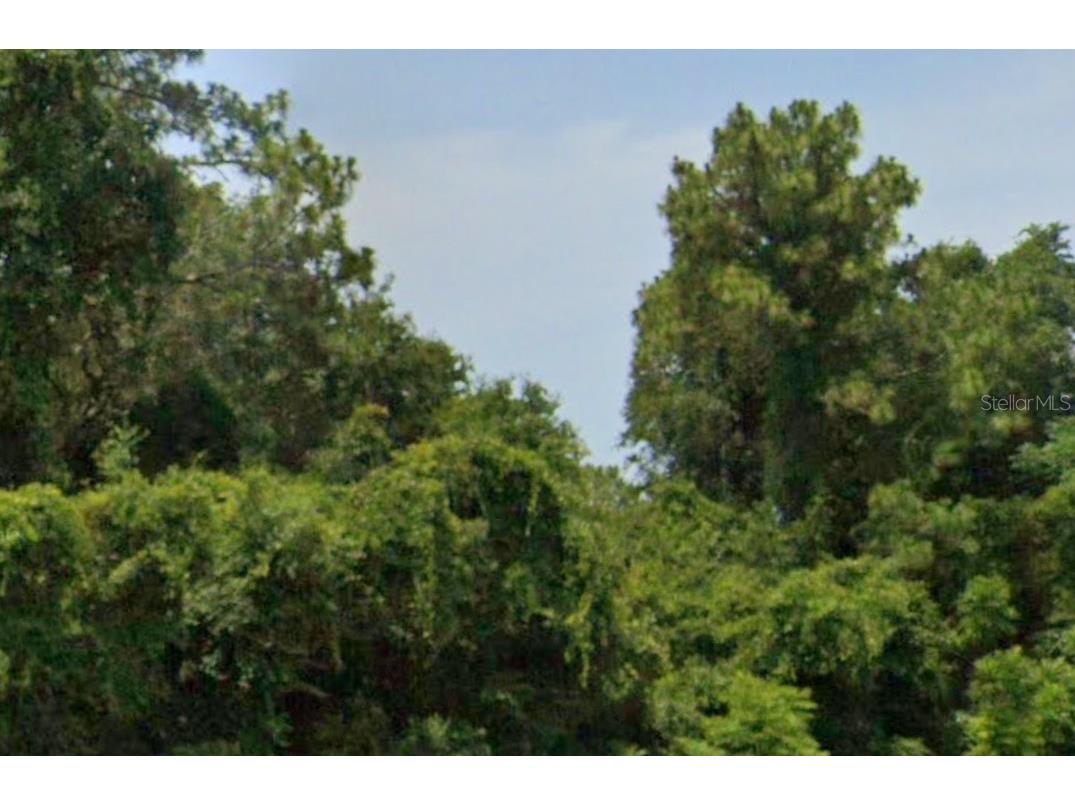 SE 17th Lane Ocklawaha FL 32179 O6363365 image2