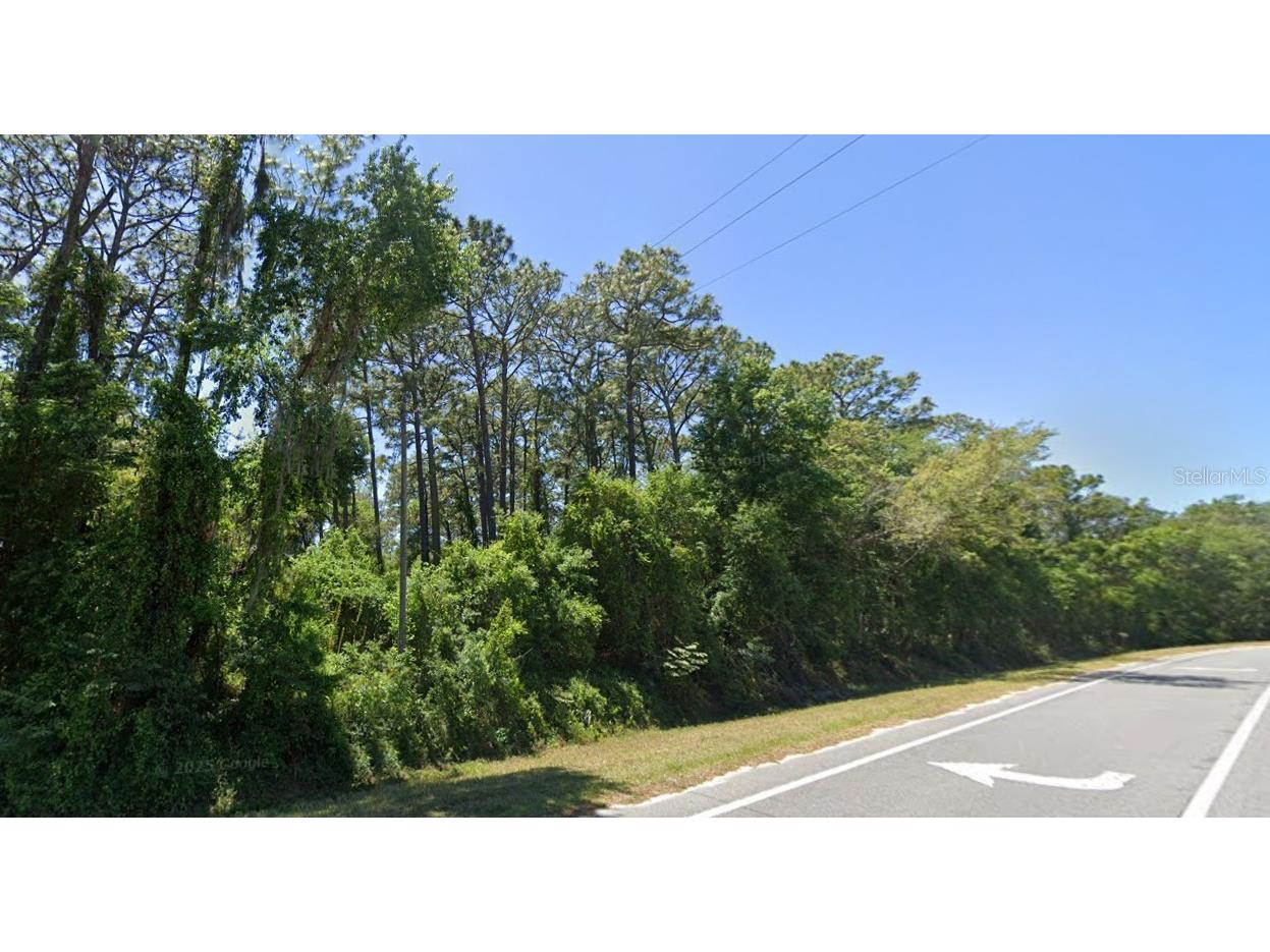SE 17th Lane Ocklawaha FL 32179 O6363371 image1