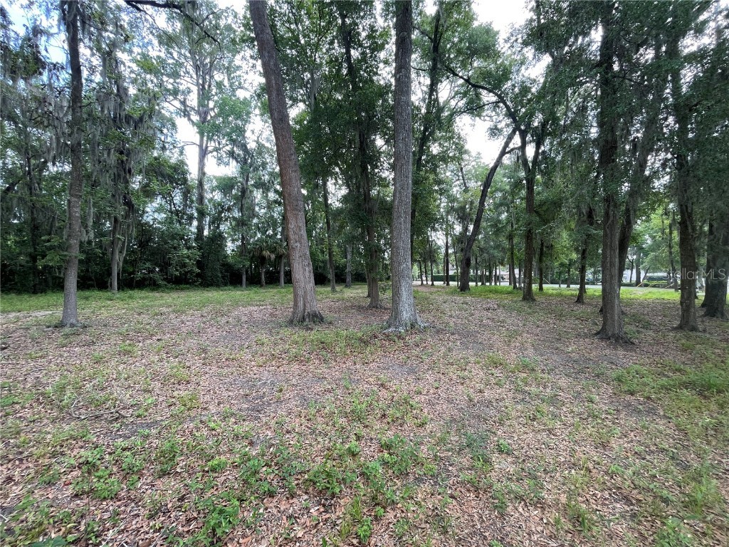 SE 17th Street Ocala FL 34471 OM702918 image14