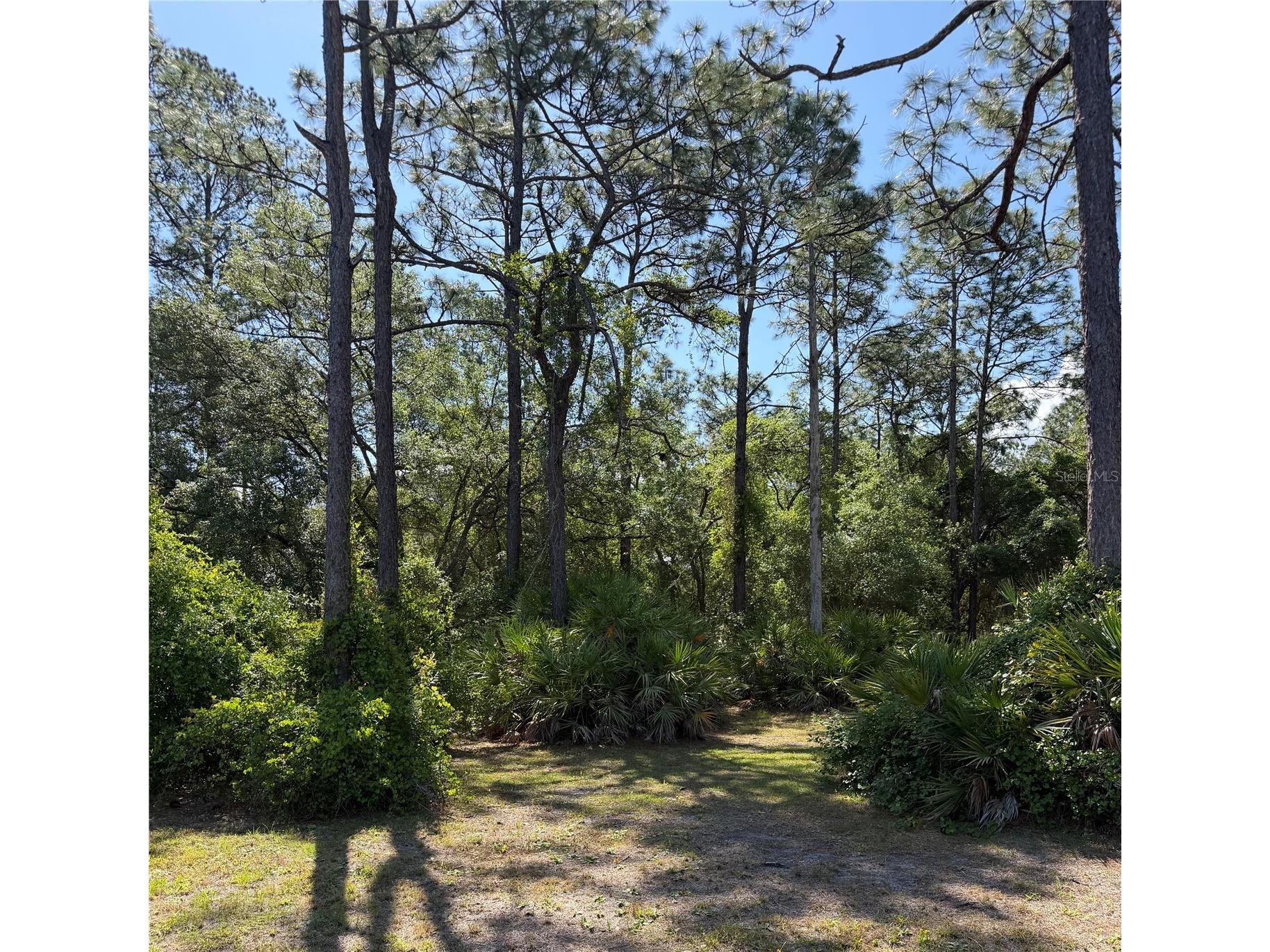 SE 180th Avenue Road Ocklawaha FL 32179 OM723587 image1