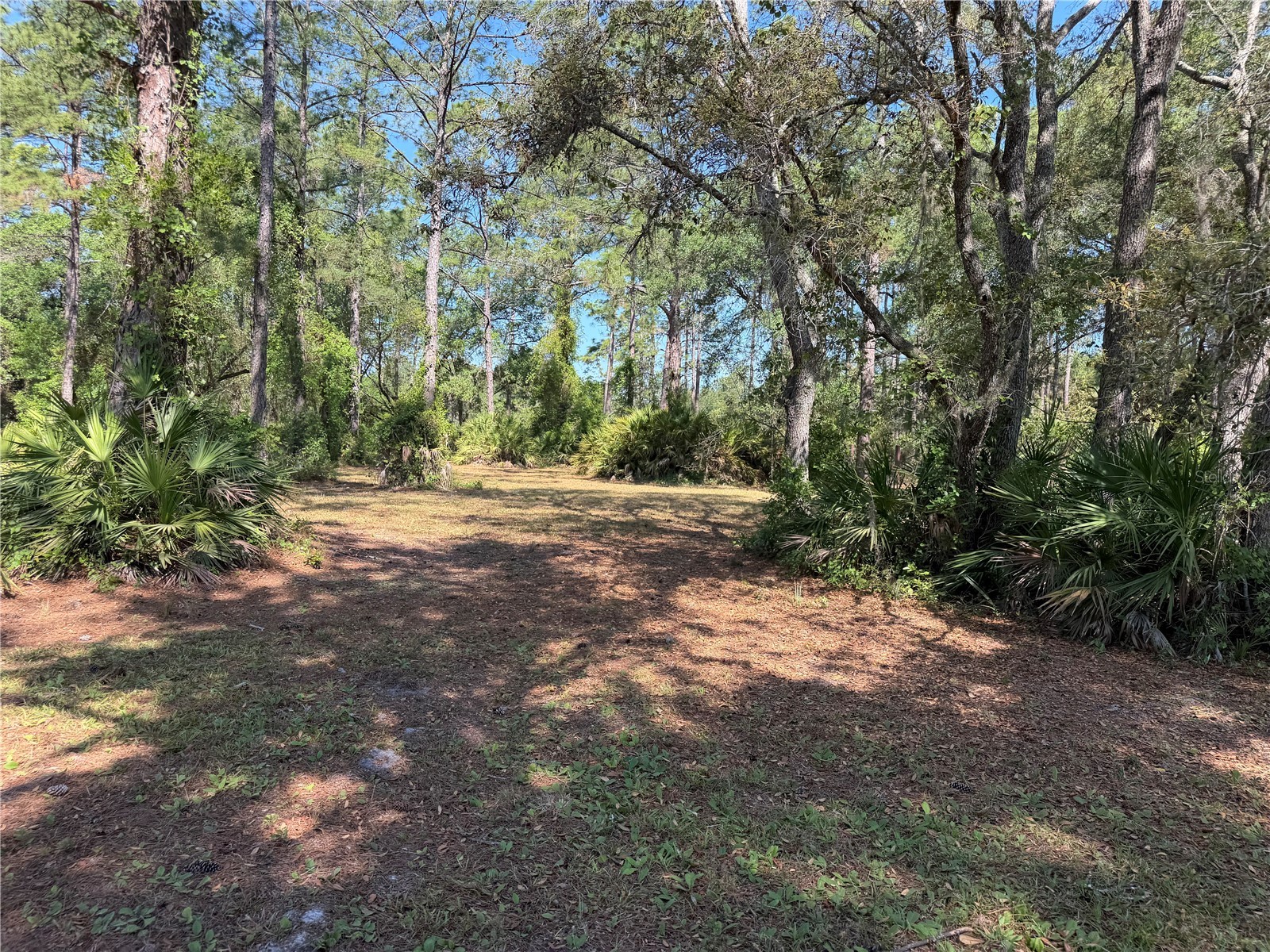SE 180th Avenue Road Ocklawaha FL 32179 OM723587 image2