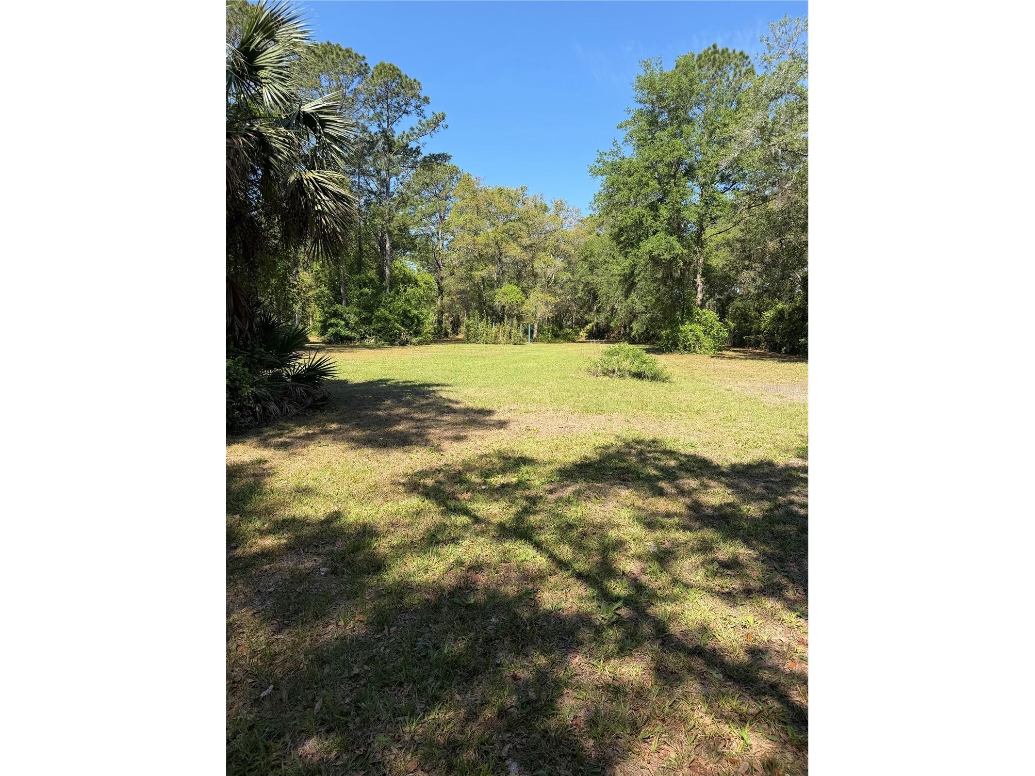 SE 180th Avenue Road Ocklawaha FL 32179 OM723587 image3