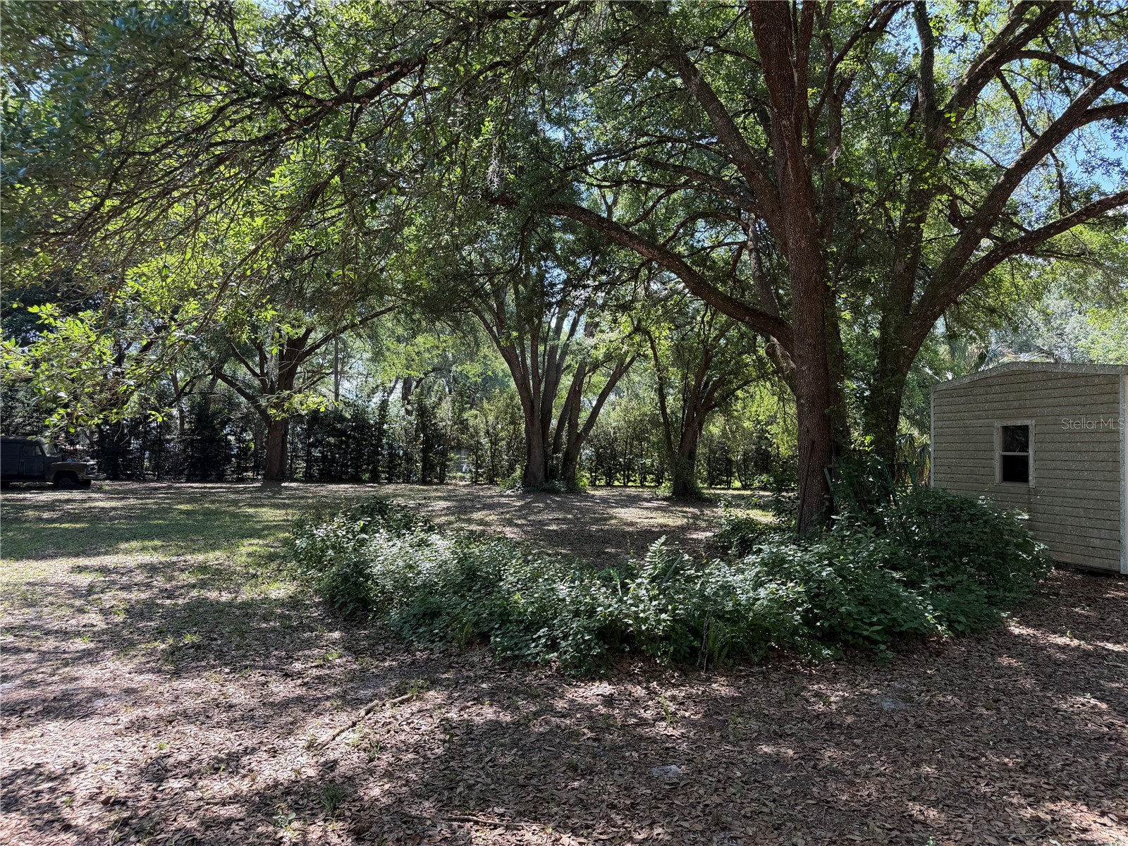 SE 180th Avenue Road Ocklawaha FL 32179 OM723587 image5