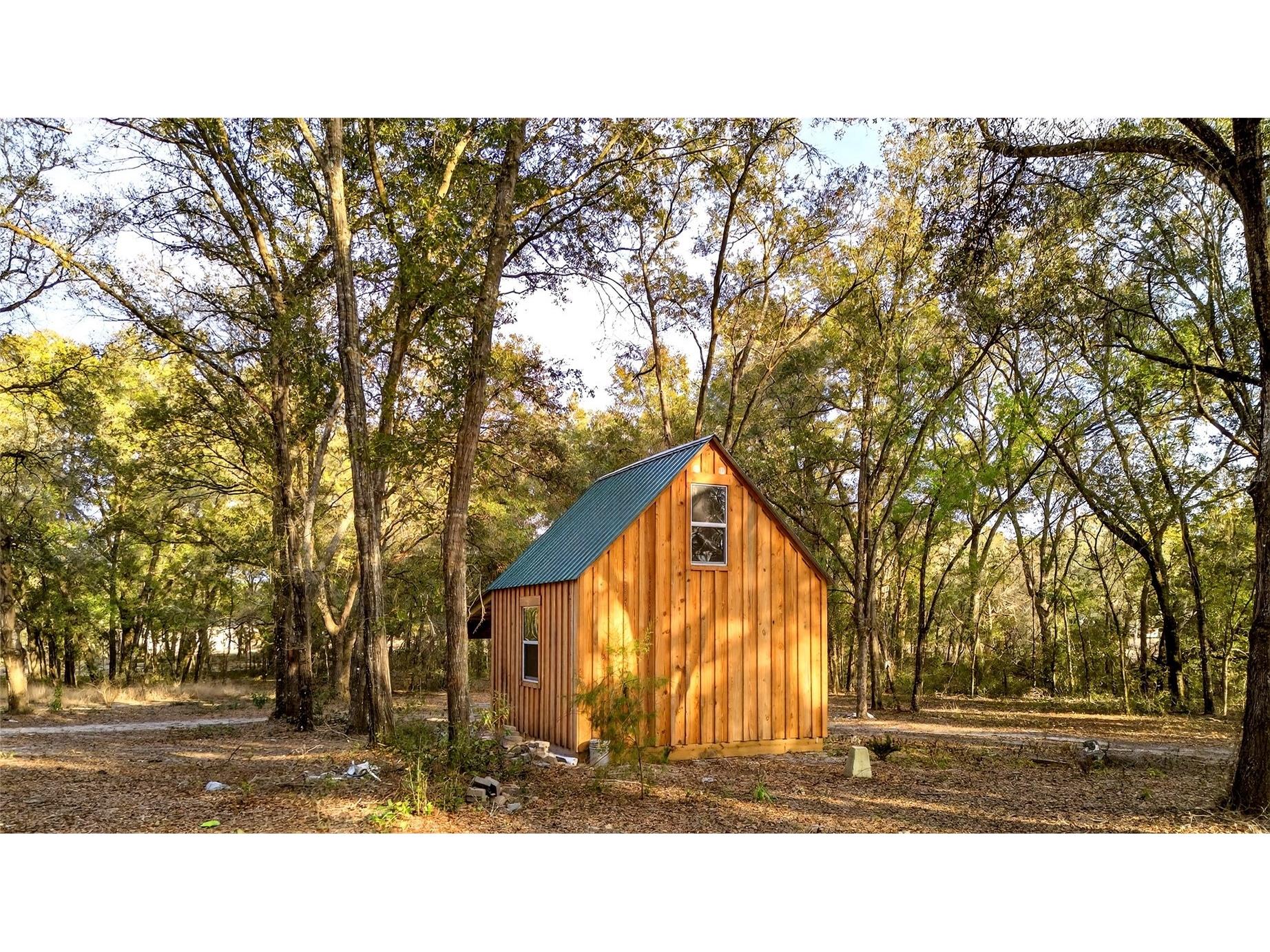 Se 180th Street Weirsdale FL 32195 OM719049 image13