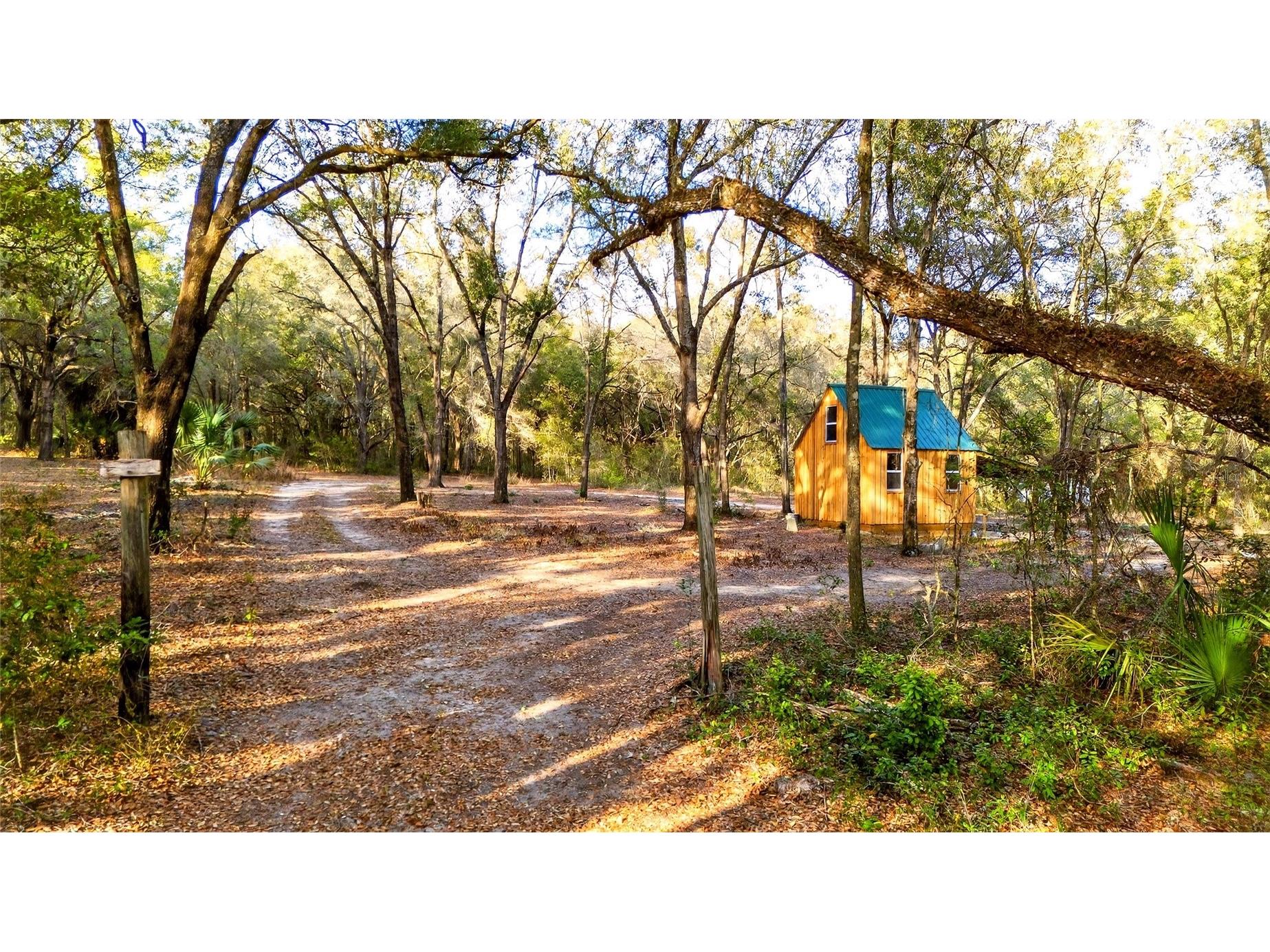 Se 180th Street Weirsdale FL 32195 OM719049 image3