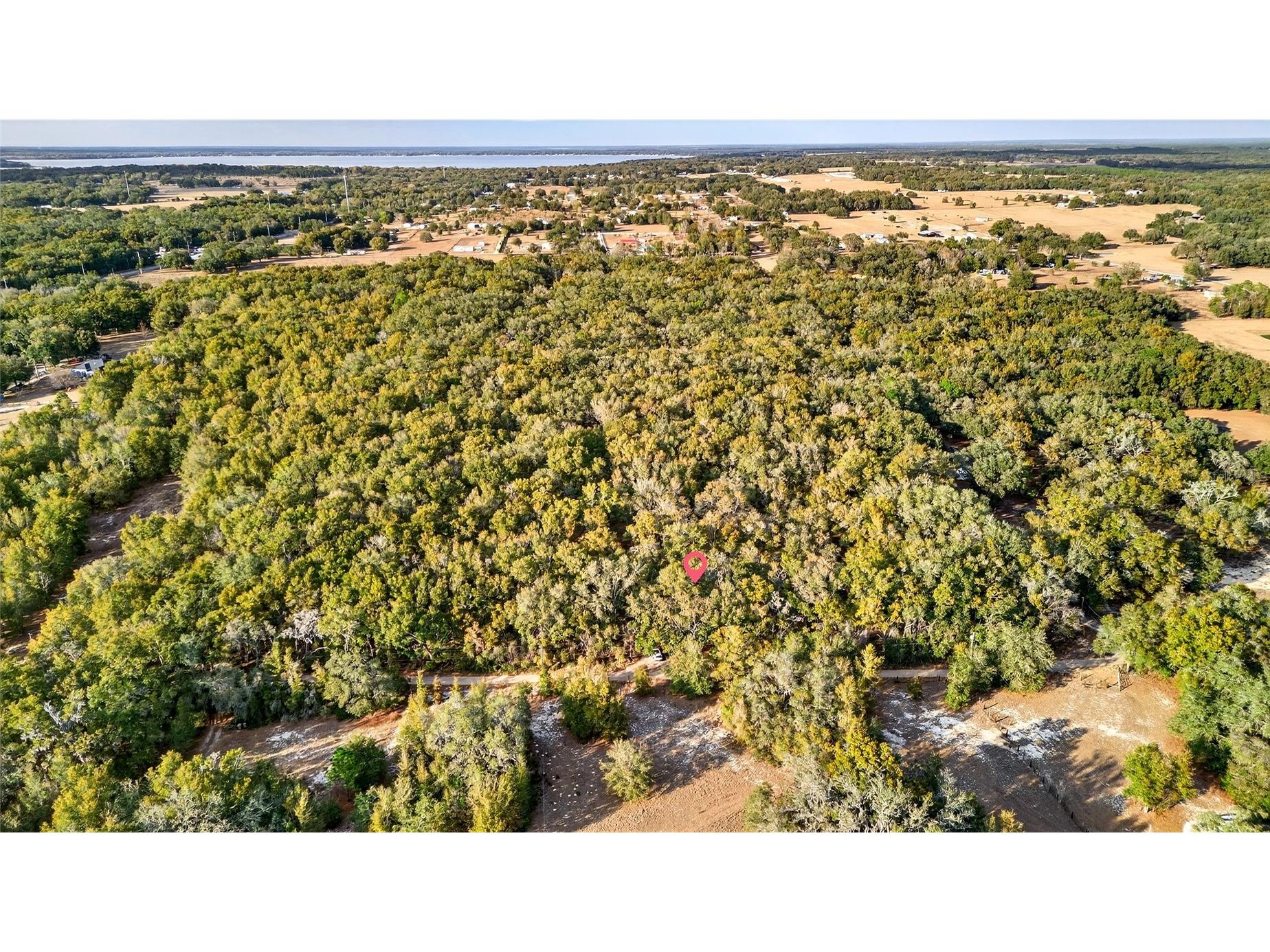 Se 180th Street Weirsdale FL 32195 OM719049 image5