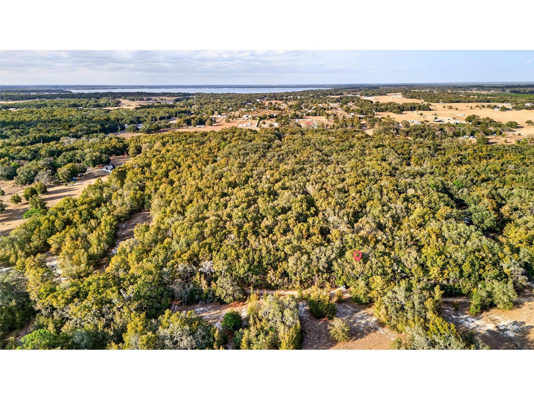 Se 180th Street Weirsdale FL 32195 OM719049 image6