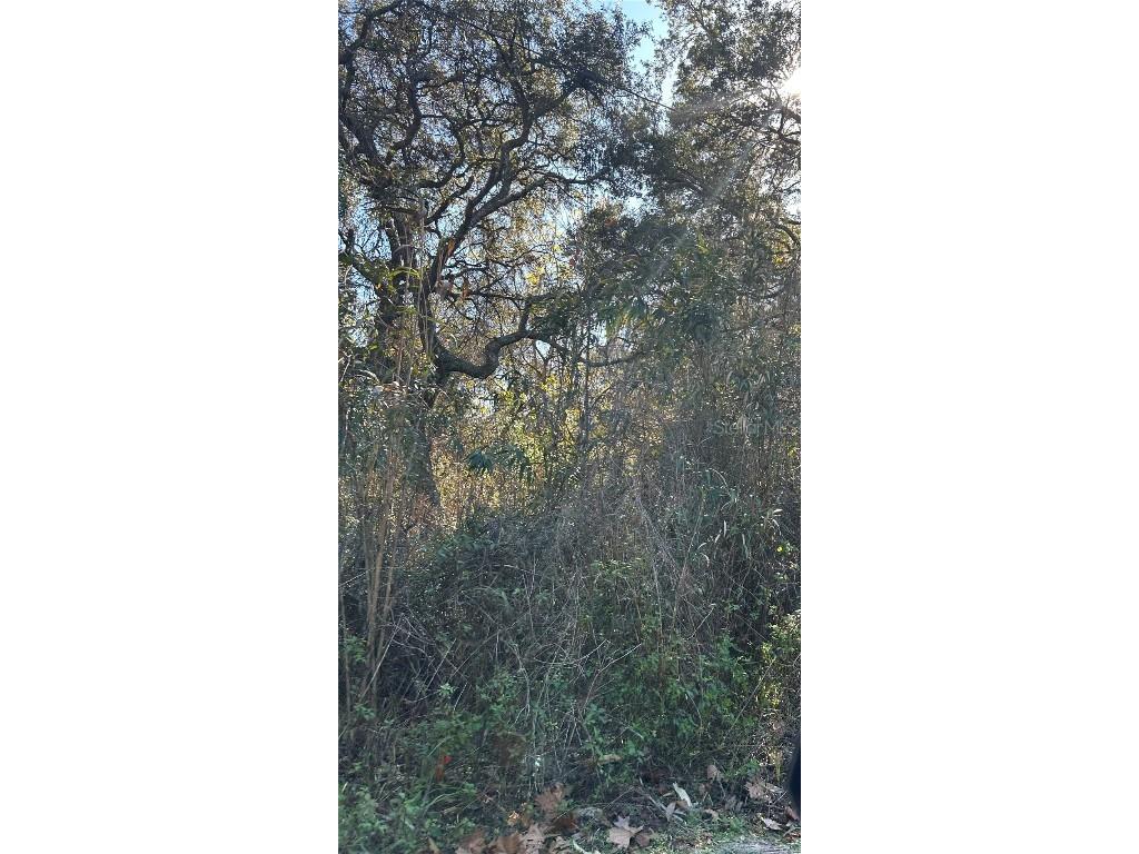 SE 19 Street Silver Springs FL 34488 OM693204 image1