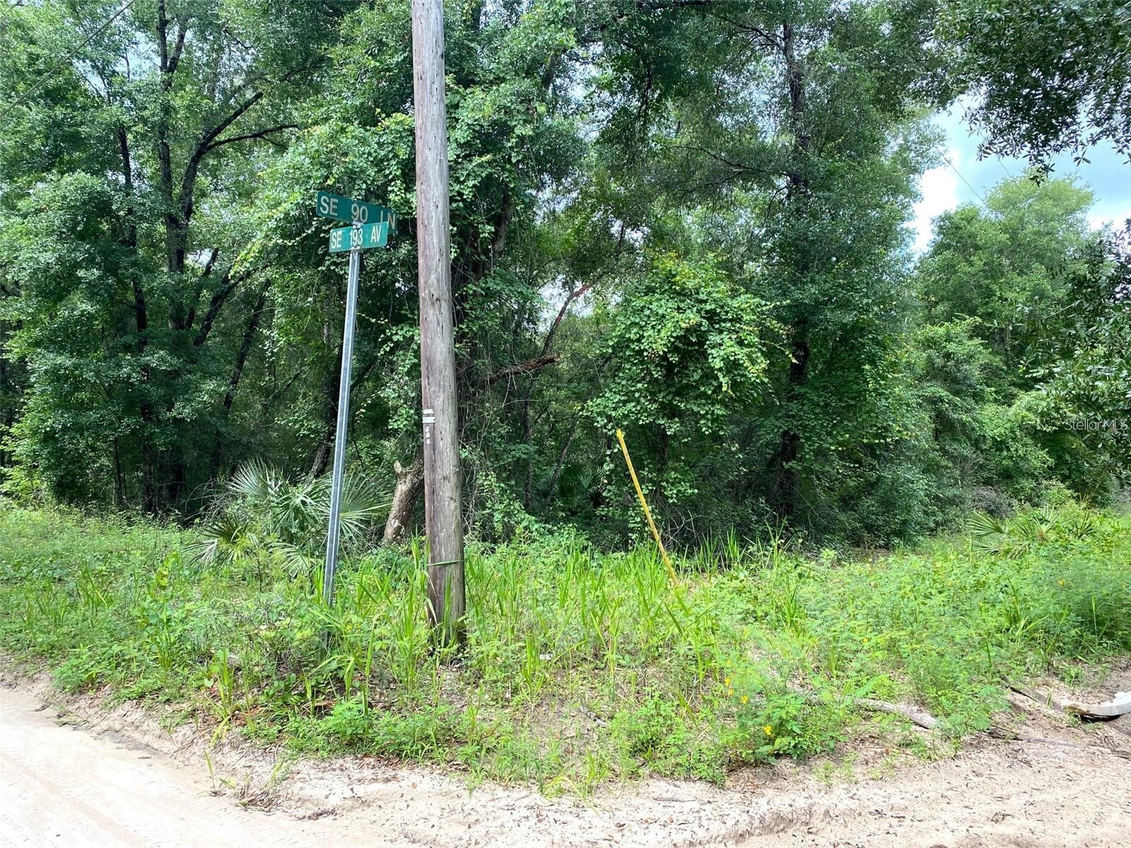 SE 193rd Avenue Ocklawaha FL 32179 O6390940 image1