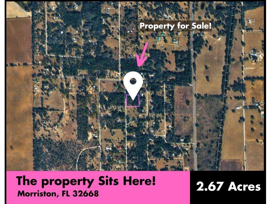SE 194th Court Morriston FL 32668 TB8528532 image10